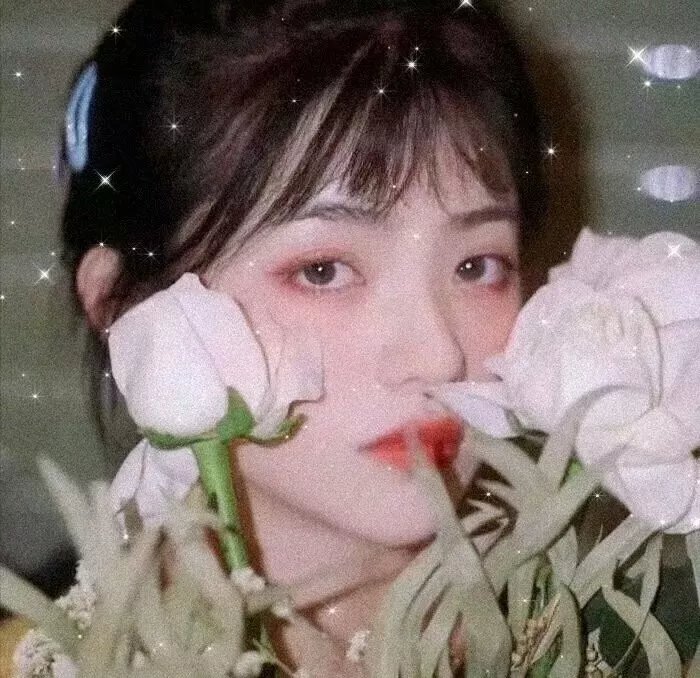 月光挚情